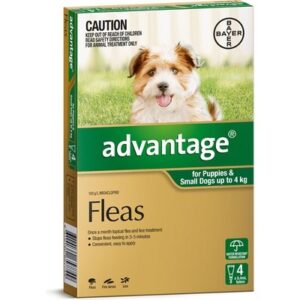 ADVANTAGE FOR SMALL DOGS UNDER 4KG 4 PACK (GREEN)