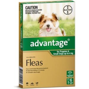 ADVANTAGE FOR SMALL DOGS UNDER 4KG 6 PACK (GREEN)