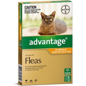 ADVANTAGE FOR SMALL CATS UNDER 4KG 6 PACK (ORANGE)