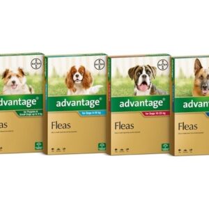ADVANTAGE FOR EXTRA LARGE DOGS OVER 25KG 4 PACK (BLUE)