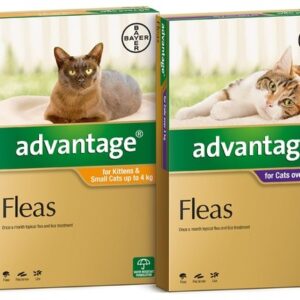 ADVANTAGE FOR SMALL CATS UNDER 4KG 6 PACK (ORANGE)