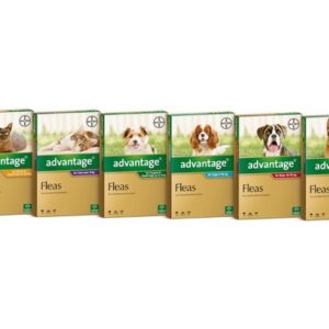 ADVANTAGE FOR LARGE DOGS 10-25KG 4 PACK (RED)